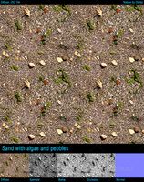 Sand with algae and pebbles