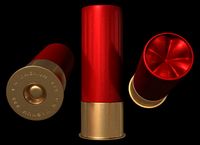 Bullet08