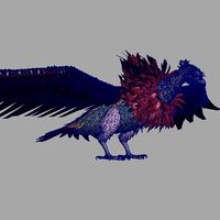 bald eagle model&blend shape
