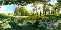 HDRI Forest