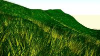 A Grassy Hill