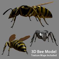 Low poly 3d model of Bee