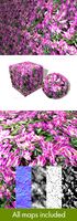 Tropical Pink Flowers Seamless Texture