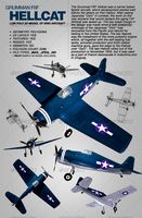Grumman F6F Hellcat rigged 3Ds model of aircraft