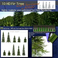 10 Fir Trees