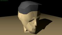 Destroyable human head