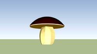 Boletus Edulis- fungo porcino
