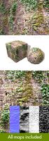 Ivy Vines Wall Seamless Texture