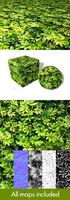 Small Jungle Leaves Seamless Texture