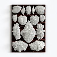 «Forms in Nature Wall Decor»