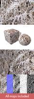 Dead Fern Seamless Texture