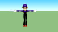 waluigi SSBB rip