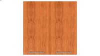 Wall Double Door 30Hx15D