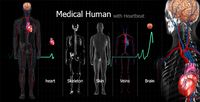 Medical Human