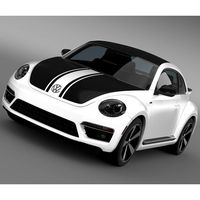 VW Beetle GSR 2013