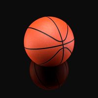 Basketball Ball