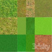Grass texture