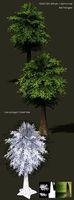 LowPolygon Tree 1