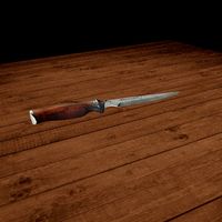 Hunted Knife