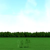 Willow (Salix) Trees 3d Models