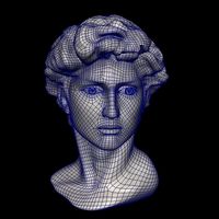 David head&blend shape