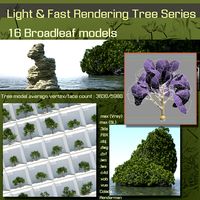 16 Broadleaf models