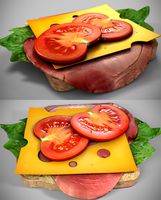 Realistic Juicy Sandwitch