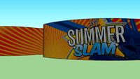 WWE Summerslam Minitron 2011