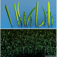 Grass 3D Model