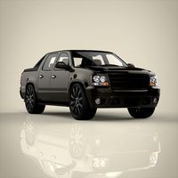 Mini truck
