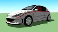 Dima 206 Rally