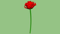 Red Rose