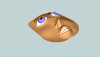 the face