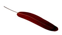 Feather