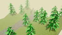 forest terrain
