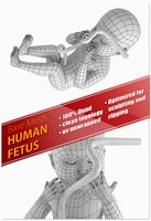 Human Fetus