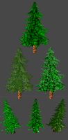 Toon Pine Tree