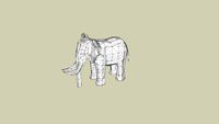 African Elephant (adult male)