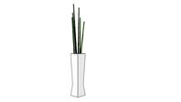Planta_2