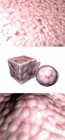Internal Organ Material