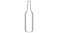 Beer Bottle
