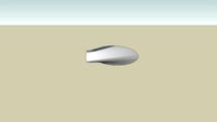 seashell