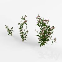 highly detail shrub