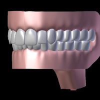 Mouth