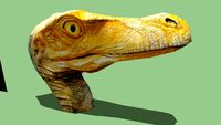 Velociraptor Mongoliensis