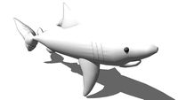 tubarão (shark)