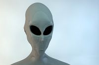Alien Gray