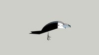 Crow
