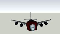 Antics' Hairplane