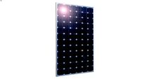 Trina 235w